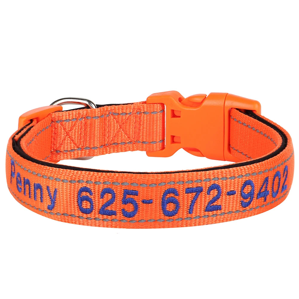 Collier pour chien
