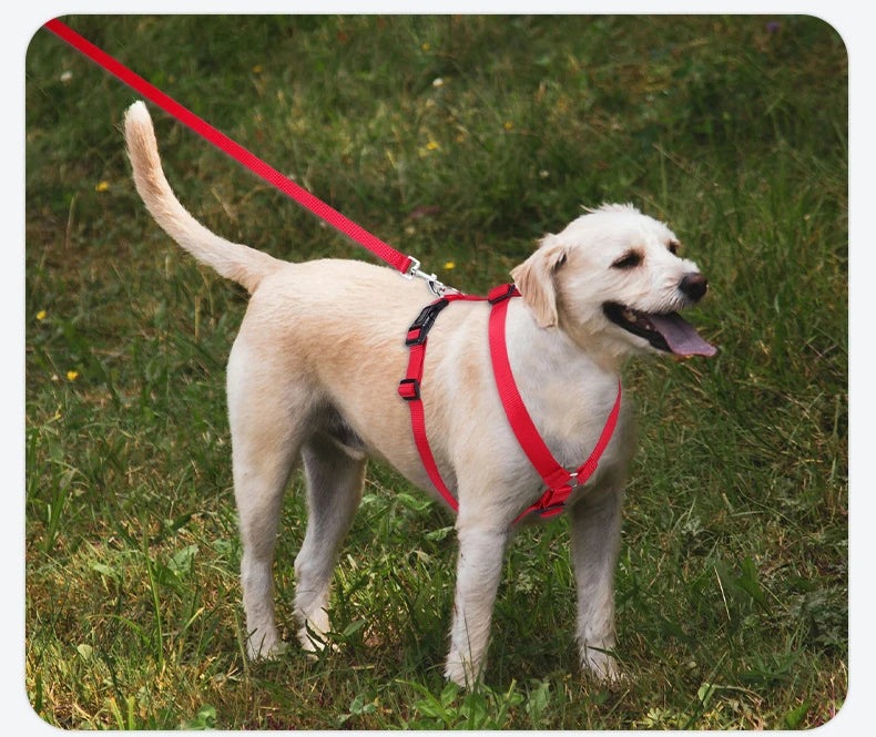 Harnais pour chien ajustable, souple et léger en forme de H, lavable
