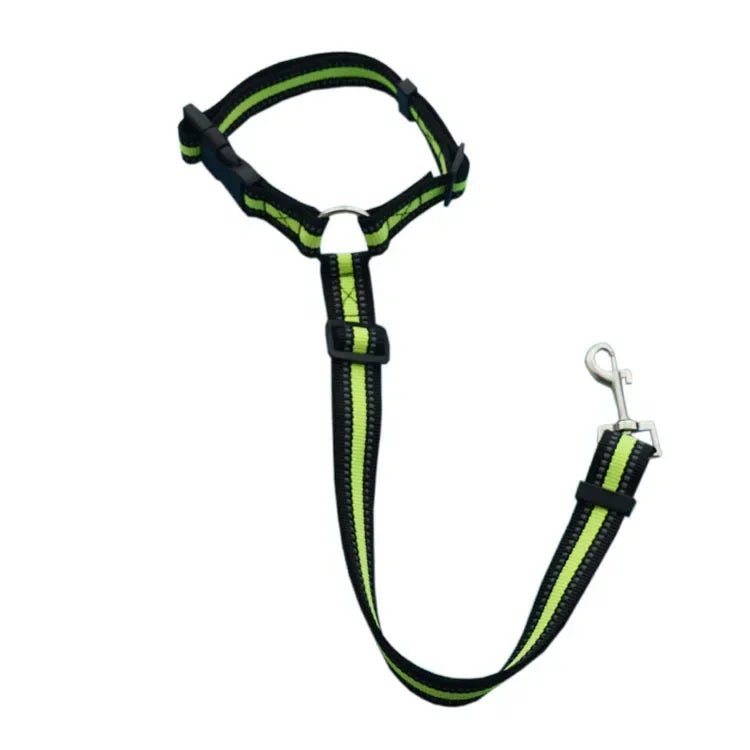 Ceinture de sécurité pour chien en voiture