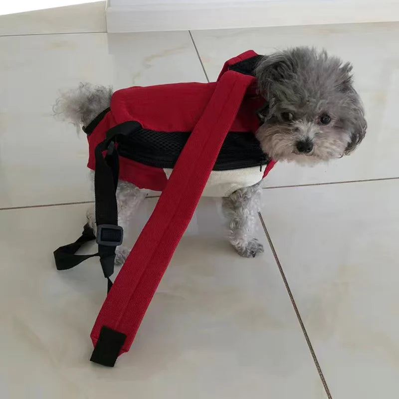 Porte chat