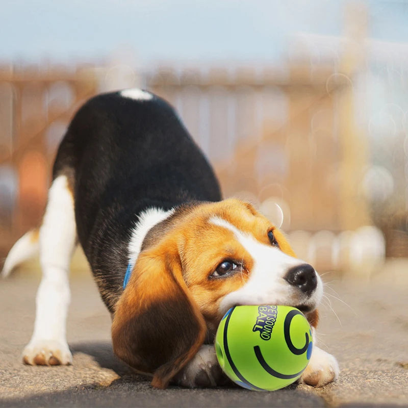 Jouet pour chien