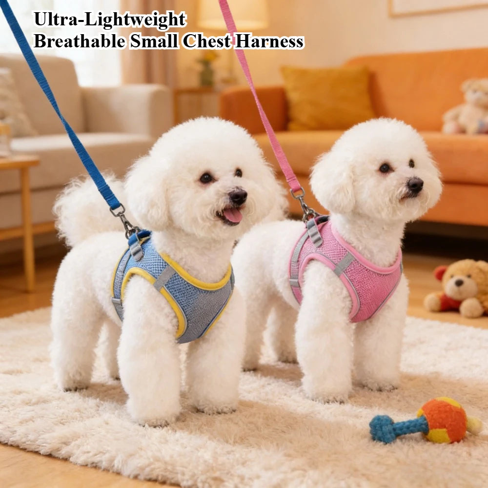Harnais pour chien