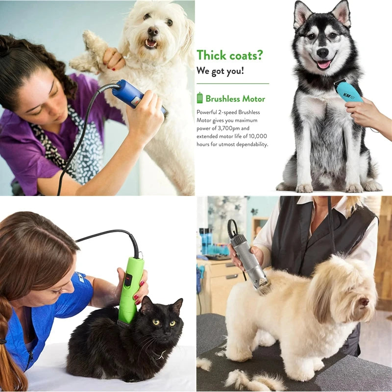 Lame en céramique compatible avec tondeuse pour animaux
