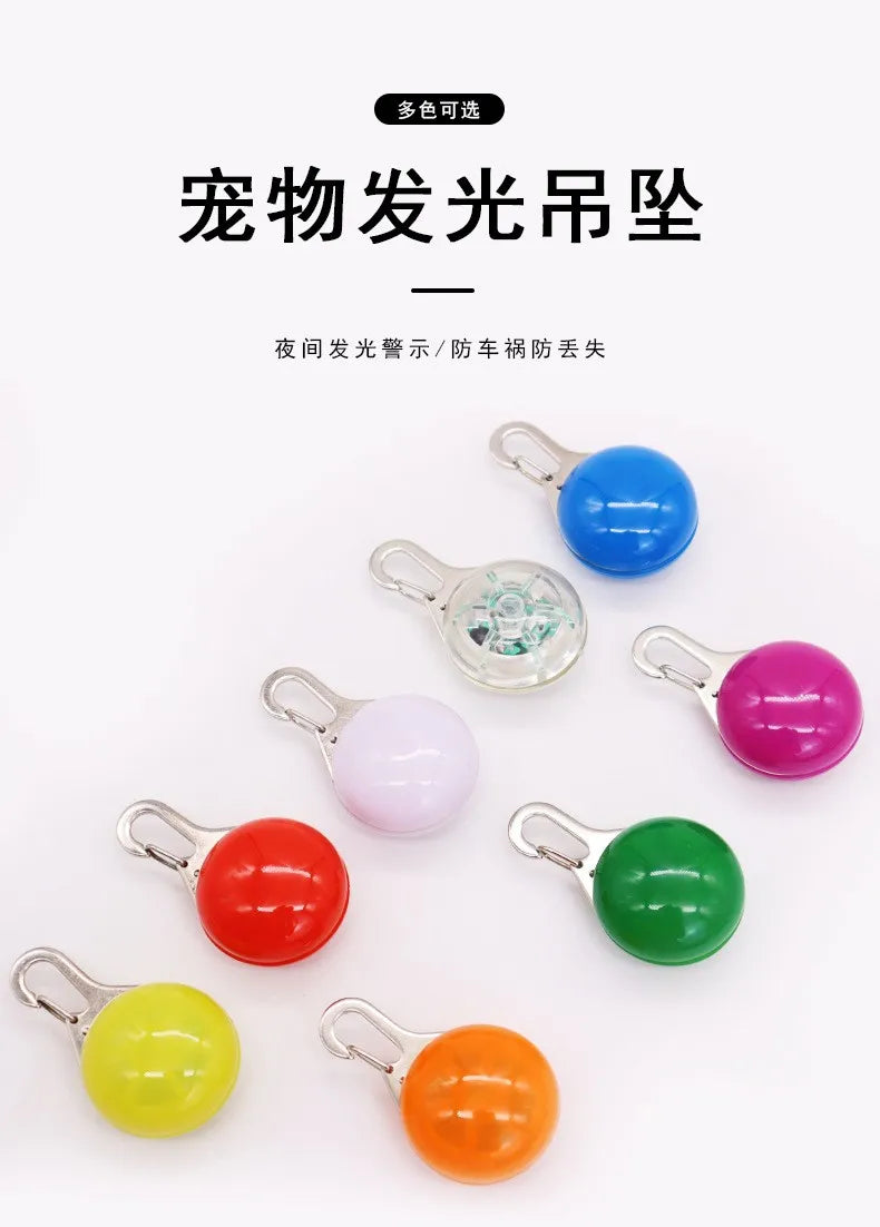Collier lumineux LED pour chien et chat