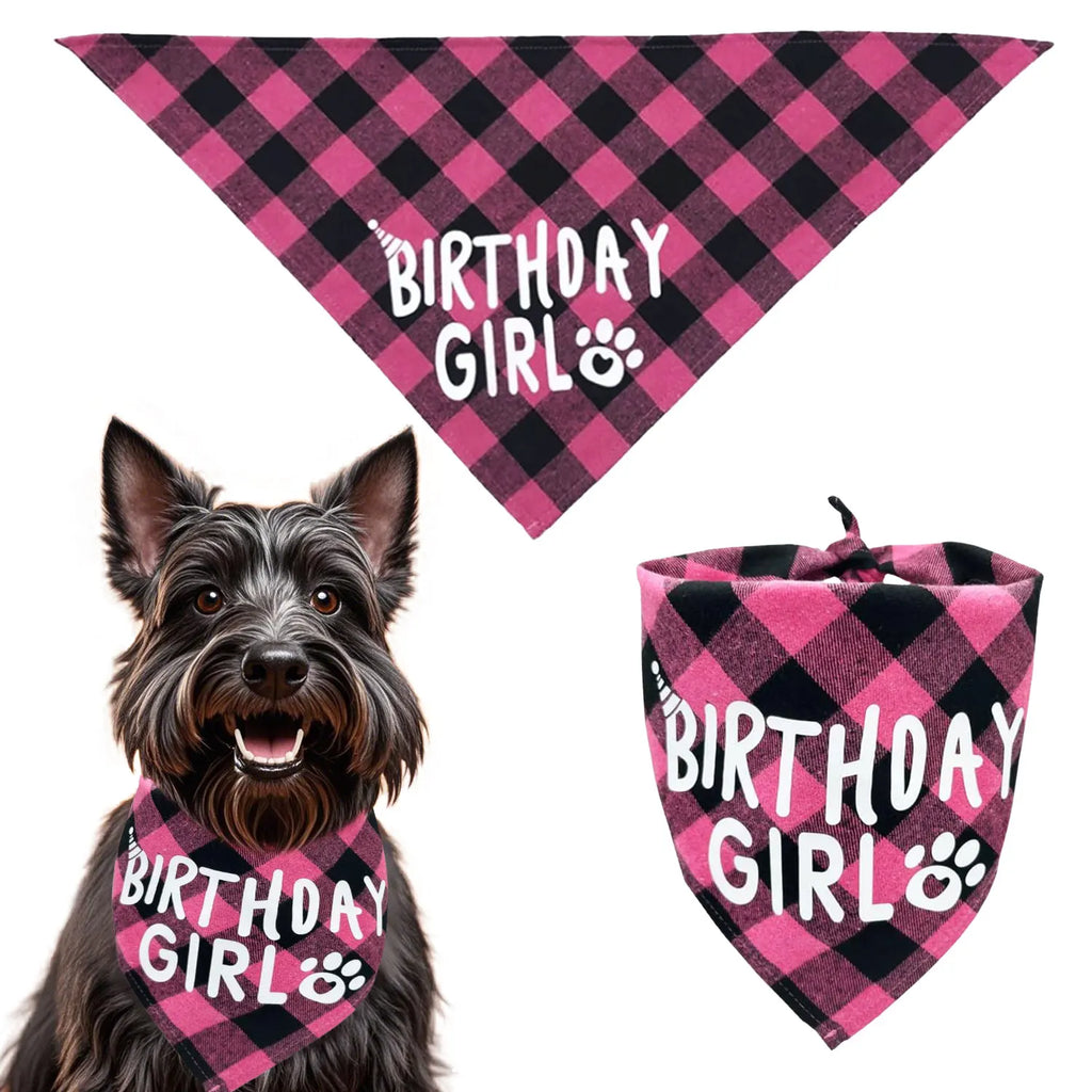 Ensemble de 4 articles pour fête d'anniversaire de chien : bandana « Birthday Boy », chapeau d'anniversaire avec chiffres pour chiens