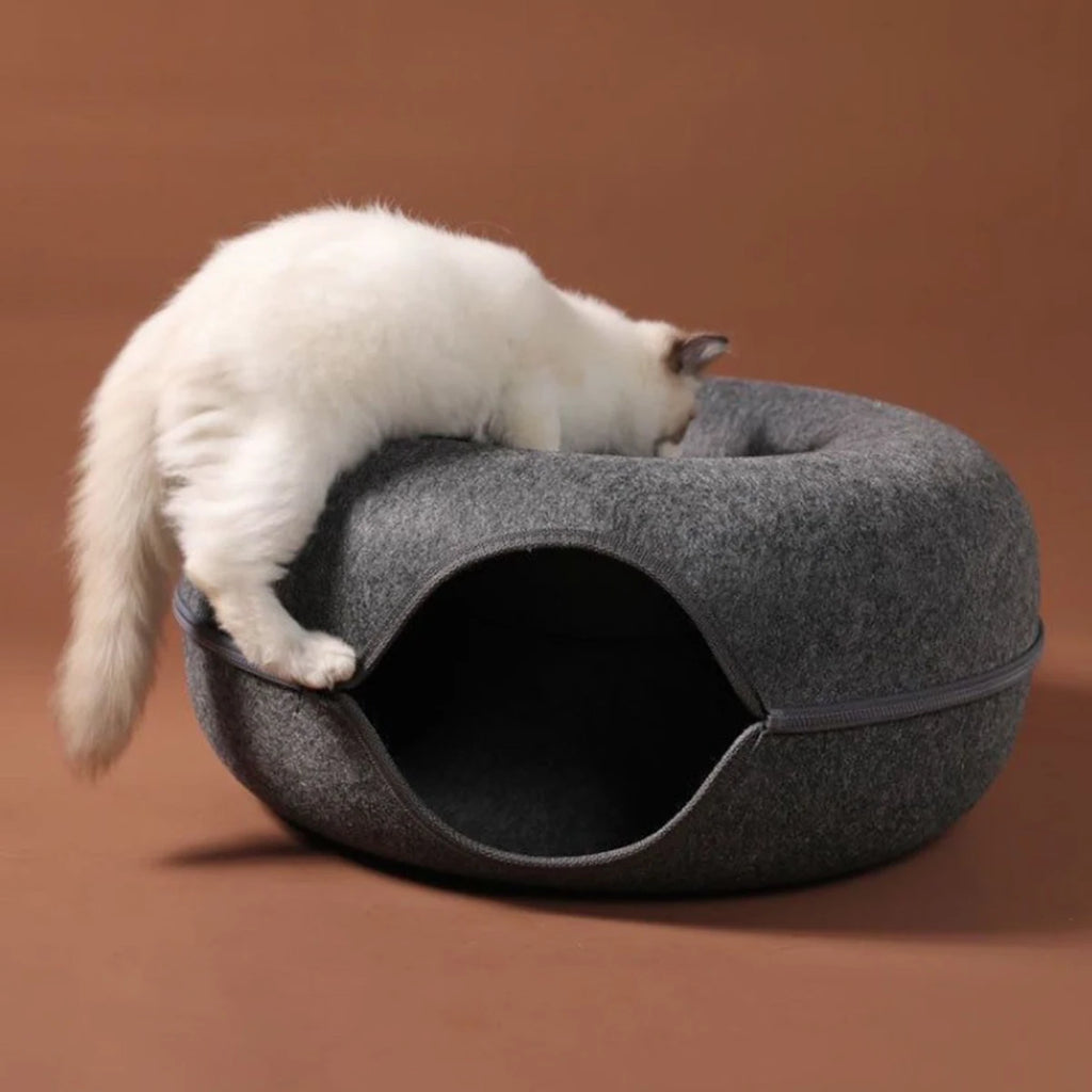 Tunnel interactif rond pour petits chats