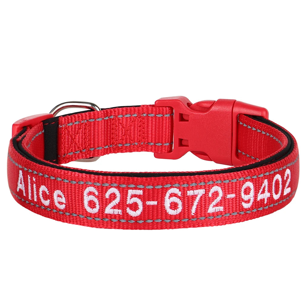 Collier pour chien