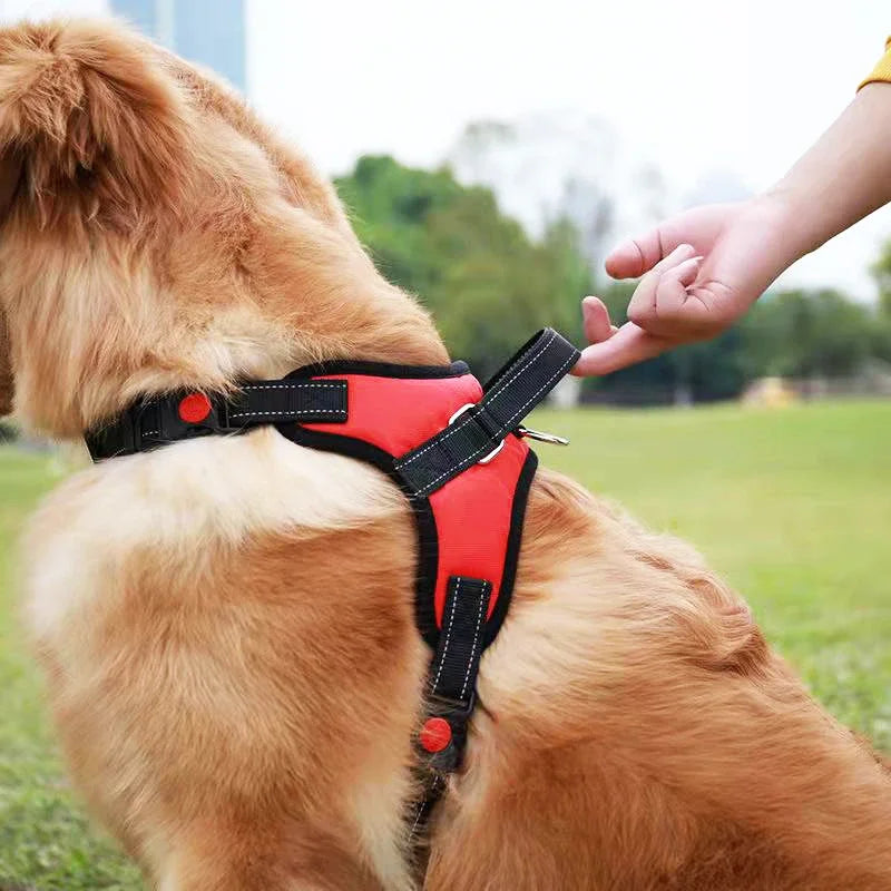 Harnais de selle réfléchissant et réglable pour chien, anti-traction