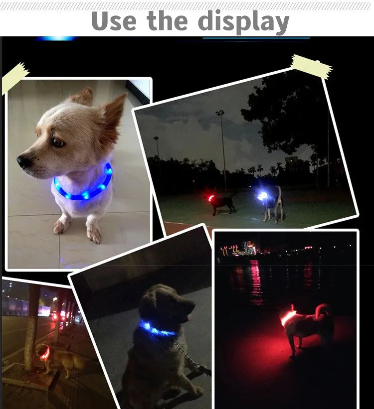 Collier lumineux LED étanche en PVC