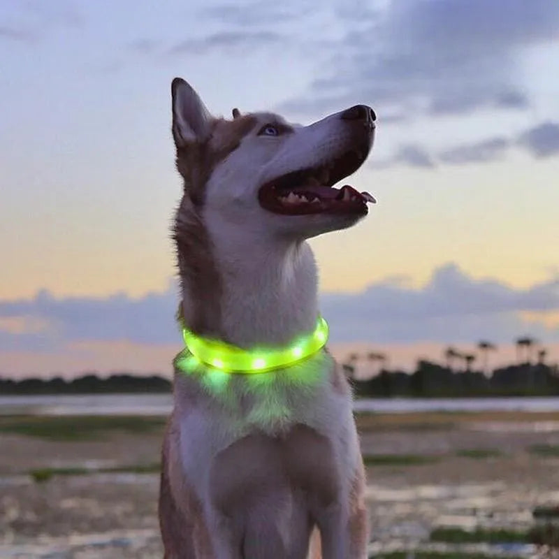 Collier lumineux LED étanche en PVC